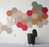 Bulletin Board 2210 hot salsa