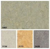 Marmoleum Terra 5801 river bank