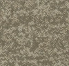 Tessera Earthscape 3251 moraine