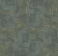 Tessera Contour 1912 pastures new