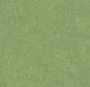Marmoleum Fresco 3260 leaf