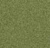 Tessera Basis Pro 4388 meadow
